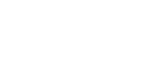 The Airline Academy