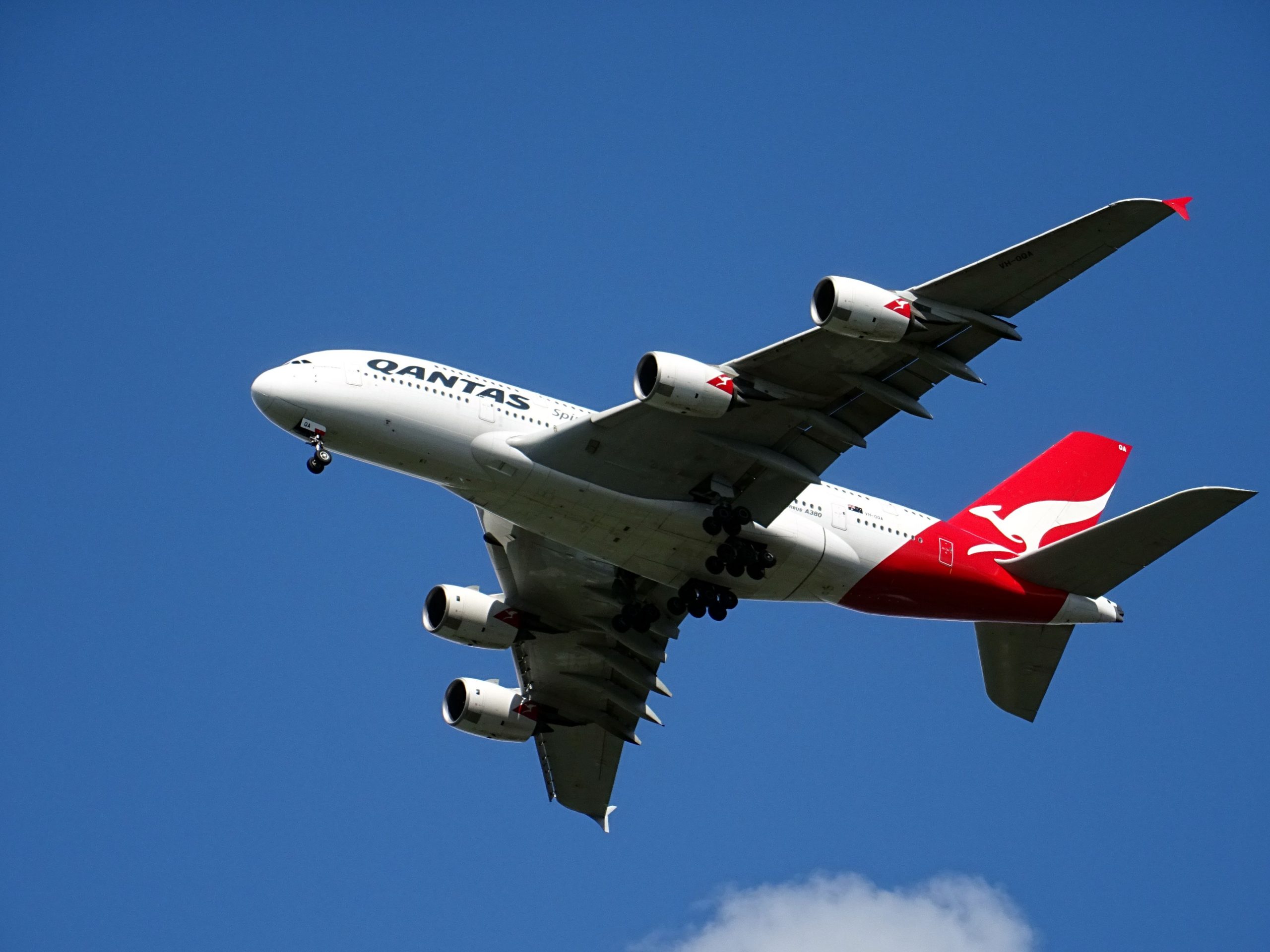 Top Skills Every Flight Attendant Should Have